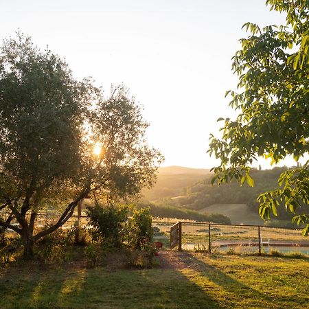 Agriturismo Le Tre Pietre - Podere Nel Chianti Quercegrossa Exterior foto